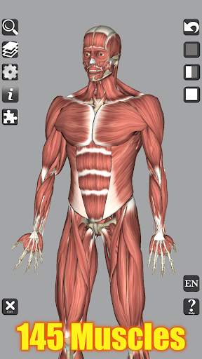 3D Bones and Organs (Anatomy) screenshot 2