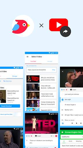 ParrotPlayer - Learn languages with videos screenshot 3