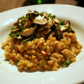 Mushroom Fried Rice Recipes icon