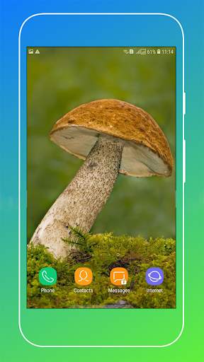 Nature Wallpaper screenshot 4