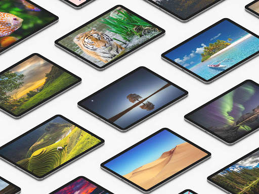 Nature Wallpapers For Tablet screenshot 9