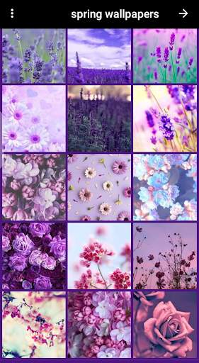 lavender wallpaper screenshot 8