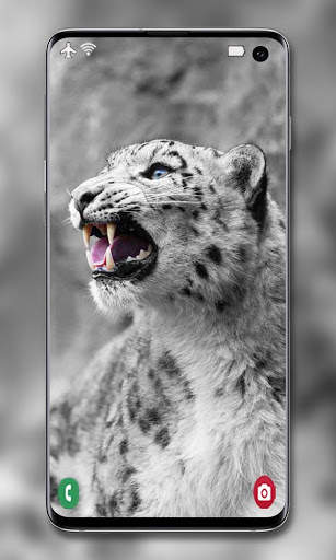 Snow Leopard Wallpaper screenshot 2