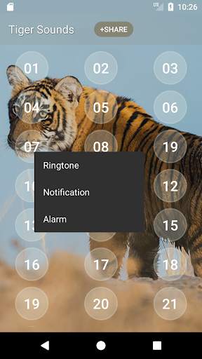 Tiger Sounds and Ringtone screenshot 3