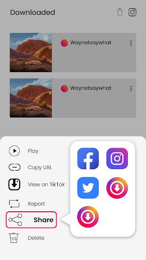 Downloader for Instagram screenshot 4