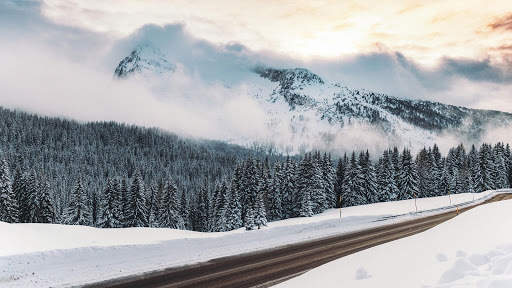 Winter Live Wallpaper (Wallpapers & Backgrounds) screenshot 12