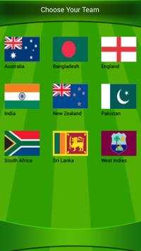 The Best Cricket Game Ever screenshot 2