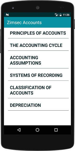 Zimsec Accounts Revision screenshot 1