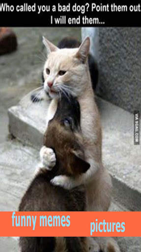 funny memes pictures screenshot 2