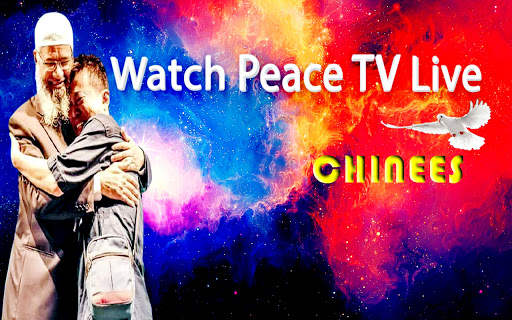 Watch Peace TV live - Peace TV urdu All languages screenshot 3