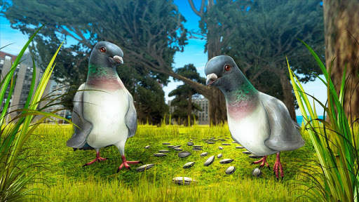 City Bird Pigeon Simulator 3D screenshot 2