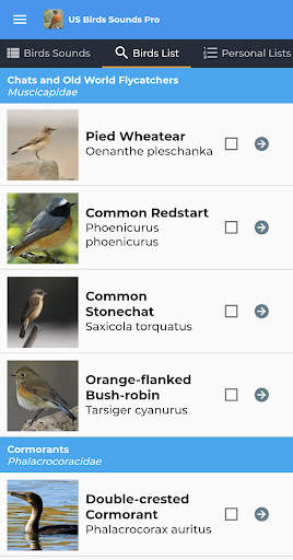 American Birds Sounds Pro screenshot 3