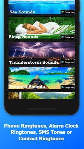 Birds Sounds & Ringtones скриншот 4