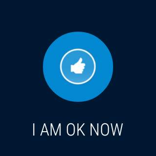 Smart Safe & Sound Panic app screenshot 14