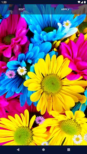 3D Daisy Spring Live Wallpaper screenshot 5