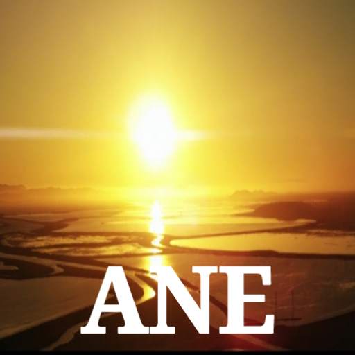 ANE 9.8