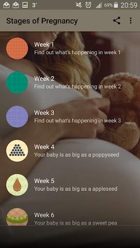Stages of Pregnancy screenshot 1