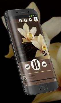 Vanilla Poweramp Skin screenshot 1