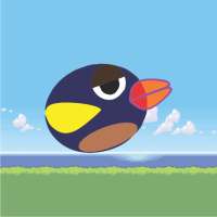 Fat Bird