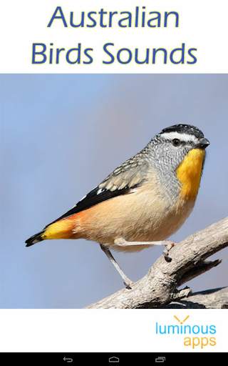 Australian Birds Sounds Free स्क्रीनशॉट 17