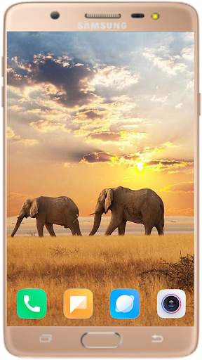Elephant Wallpaper Best HD screenshot 2