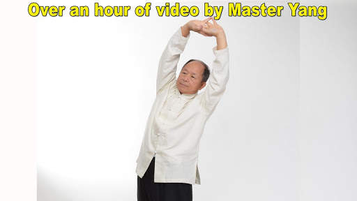 Qigong for Arthritis Relief screenshot 7