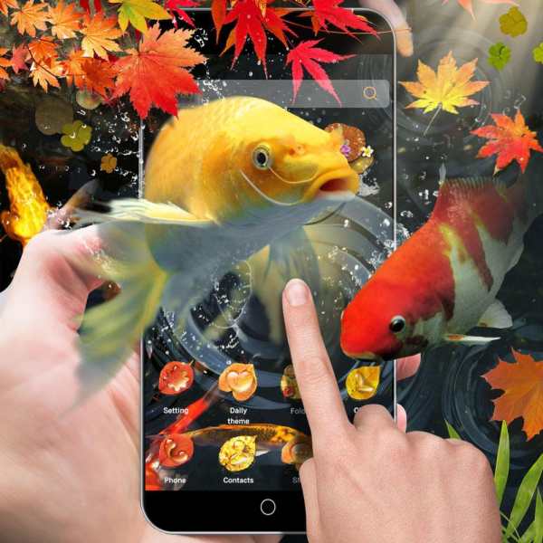 Autumn 3D Koi Fish Theme screenshot 6