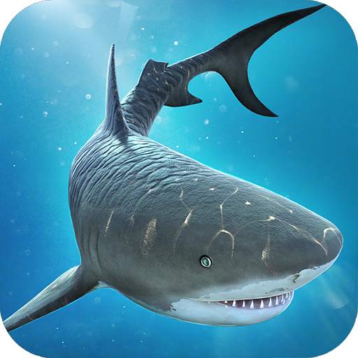 Shark & Crocodile Fight 1.6.0