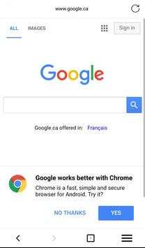 Incognito Browser screenshot 2