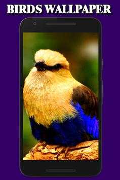 Birds Wallpaper screenshot 2