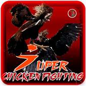 SUPER CHICKEN FIGHTING 1.0