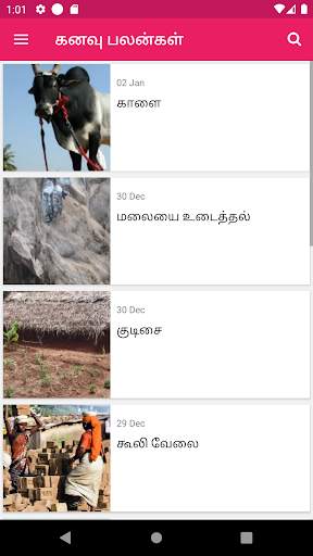 Kanavu Palangal Tamil screenshot 1