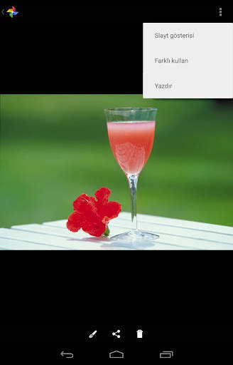 Canon Print Service screenshot 1