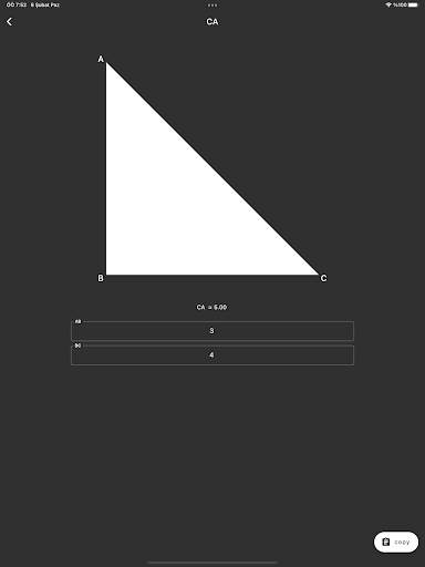 Right Triangle Calculator screenshot 4