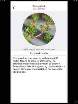 Arbor screenshot 8
