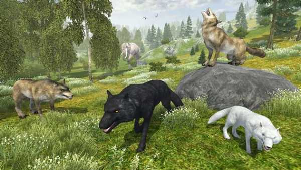 Wild Life: Wolf Clan screenshot 3