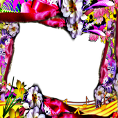 Life Photo Frames AHa icon