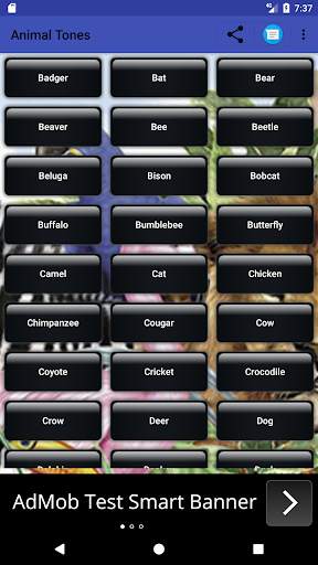 Animal Sounds screenshot 1