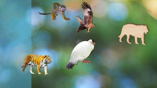 Puzzle Game for Kids Animals and Birds, Full Game screenshot 1
