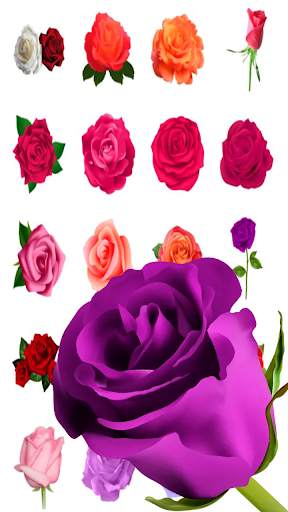 Flowers Stickers for WhatsApp - WAStickerApps screenshot 3