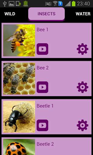Animal Sounds & Ringtones screenshot 3