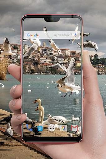 Transparent Live Wallpaper screenshot 3