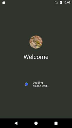 Bulbul Bird Sound Ringtones скриншот 1