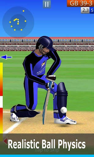 Smashing Cricket: cricket game screenshot 3