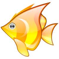 Angry Fish