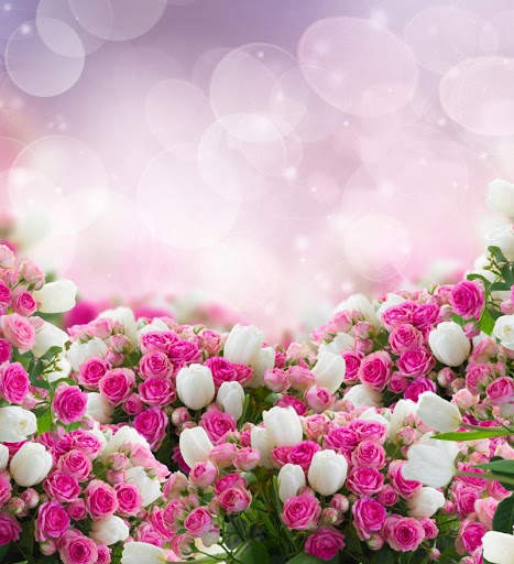 Rose Wallpapers screenshot 1