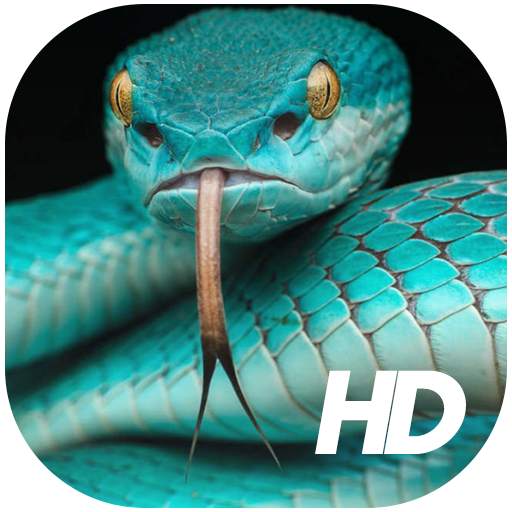 Snake Wallpaper HD 1.2