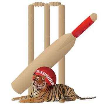 BCB Tiger Cricket screenshot 31