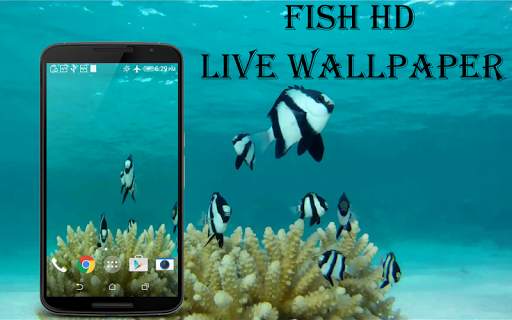 Fish HD Live Wallpaper screenshot 1