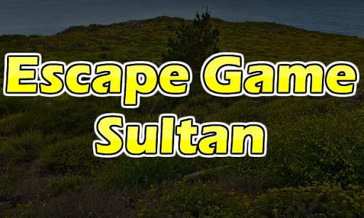 Escape Game Sultan screenshot 4